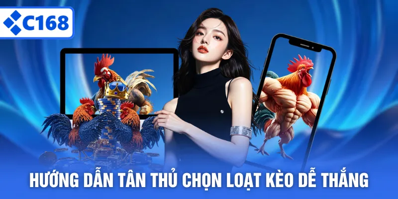 Hướng dẫn tân thủ chọn loạt kèo dễ thắng
