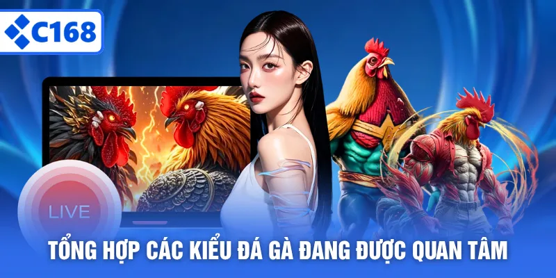 Tổng hợp các kiểu đá gà đang được quan tâm